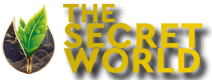 The Secret World